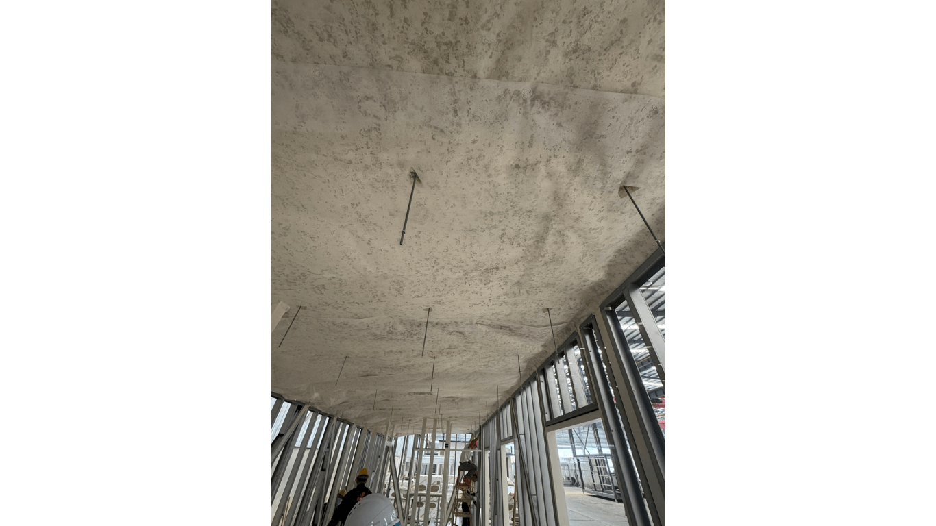 03 Pod roof sprayed 2